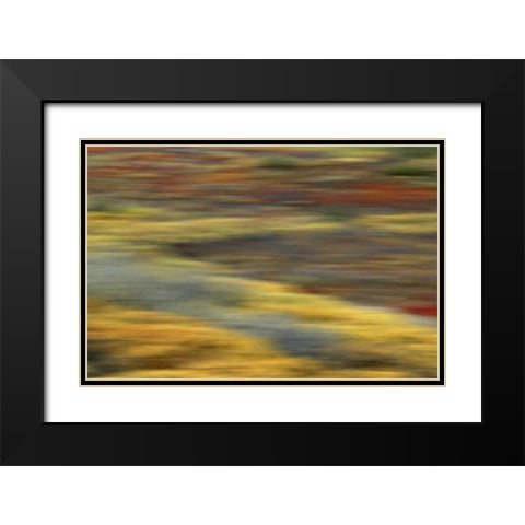 AK, Denali NP Abstract blur of autumn tundra Black Modern Wood Framed Art Print with Double Matting by Morris, Arthur