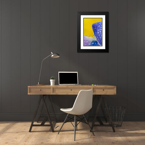 AK, Lupine with rain drops and dandelions Black Modern Wood Framed Art Print with Double Matting by Rotenberg, Nancy