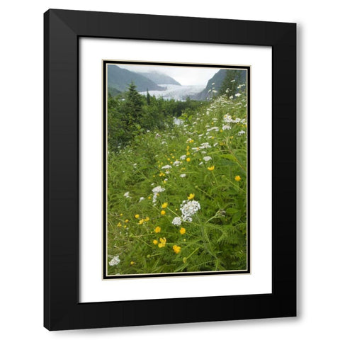 Alaska flowers with Mendenhall Glacier Black Modern Wood Framed Art Print with Double Matting by Rotenberg, Nancy