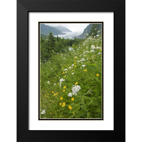 Alaska flowers with Mendenhall Glacier Black Modern Wood Framed Art Print with Double Matting by Rotenberg, Nancy