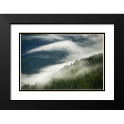 AK, Inside Passage Fog pattern over a mountain Black Modern Wood Framed Art Print with Double Matting by Rotenberg, Nancy