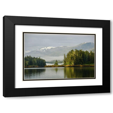 Alaska, Inside Passage Foggy forest and Mountain Black Modern Wood Framed Art Print with Double Matting by Rotenberg, Nancy