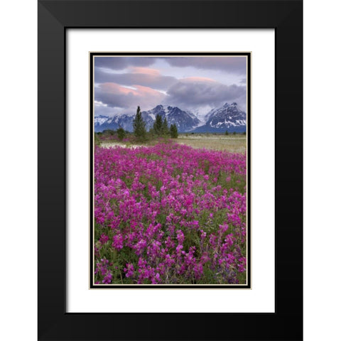 Alaska View of flowers and Fairweather Range Black Modern Wood Framed Art Print with Double Matting by Paulson, Don