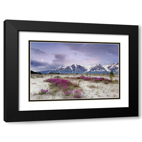 Alaska View of flowers and Fairweather Range Black Modern Wood Framed Art Print with Double Matting by Paulson, Don