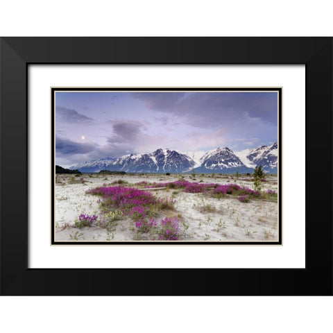 Alaska View of flowers and Fairweather Range Black Modern Wood Framed Art Print with Double Matting by Paulson, Don