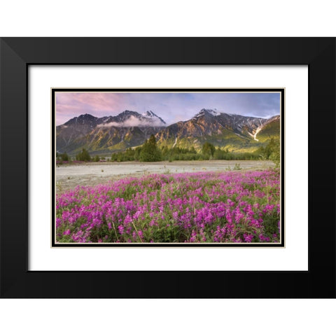 Alaska View of flowers and Fairweather Range Black Modern Wood Framed Art Print with Double Matting by Paulson, Don