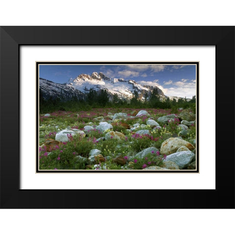AK, Alsek-Tatshenshini Meadow landscape Black Modern Wood Framed Art Print with Double Matting by Paulson, Don