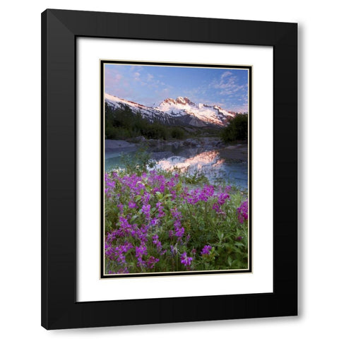 AK, Alsek-Tatshenshini Mountain landscape Black Modern Wood Framed Art Print with Double Matting by Paulson, Don