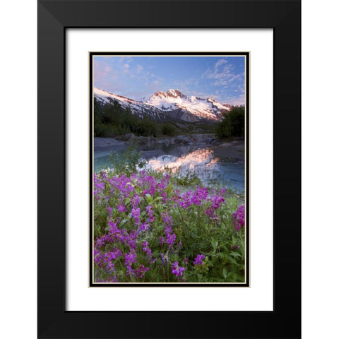 AK, Alsek-Tatshenshini Mountain landscape Black Modern Wood Framed Art Print with Double Matting by Paulson, Don