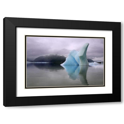 Alaska, Alsek River Valley Iceberg on Alsek Lake Black Modern Wood Framed Art Print with Double Matting by Paulson, Don