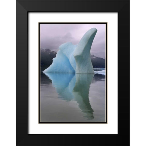 Alaska, Alsek River Valley Iceberg on Alsek Lake Black Modern Wood Framed Art Print with Double Matting by Paulson, Don