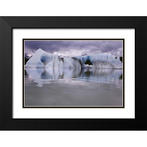 Alaska, Alsek River Valley Iceberg on Alsek Lake Black Modern Wood Framed Art Print with Double Matting by Paulson, Don