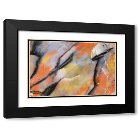 USA, Arizona Close-up of petrified wood Black Modern Wood Framed Art Print with Double Matting by Kirkland, Dennis