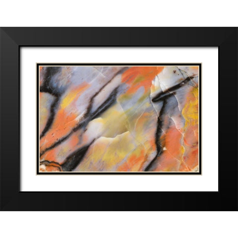 USA, Arizona Close-up of petrified wood Black Modern Wood Framed Art Print with Double Matting by Kirkland, Dennis
