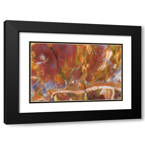 USA, Arizona Close-up of petrified wood Black Modern Wood Framed Art Print with Double Matting by Kirkland, Dennis