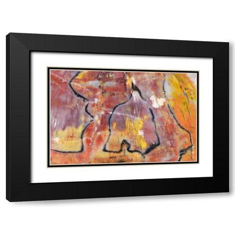 USA, Arizona Close-up of petrified wood Black Modern Wood Framed Art Print with Double Matting by Kirkland, Dennis