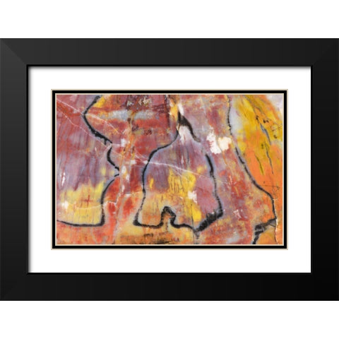 USA, Arizona Close-up of petrified wood Black Modern Wood Framed Art Print with Double Matting by Kirkland, Dennis