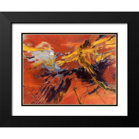USA, Arizona Close-up of petrified wood Black Modern Wood Framed Art Print with Double Matting by Kirkland, Dennis