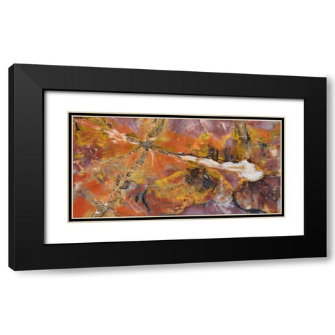 USA, Arizona Close-up of petrified wood Black Modern Wood Framed Art Print with Double Matting by Kirkland, Dennis