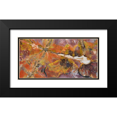 USA, Arizona Close-up of petrified wood Black Modern Wood Framed Art Print with Double Matting by Kirkland, Dennis