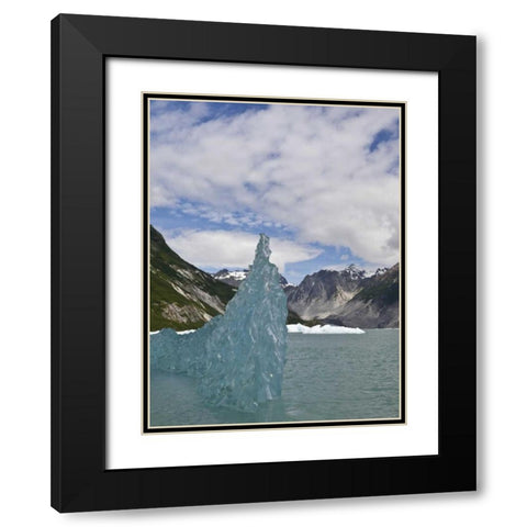 AK, Glacier Bay NP Floating iceberg Black Modern Wood Framed Art Print with Double Matting by Paulson, Don
