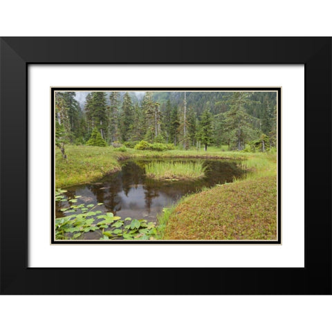 Alaska, Admiralty Island Pond and forest Black Modern Wood Framed Art Print with Double Matting by Paulson, Don