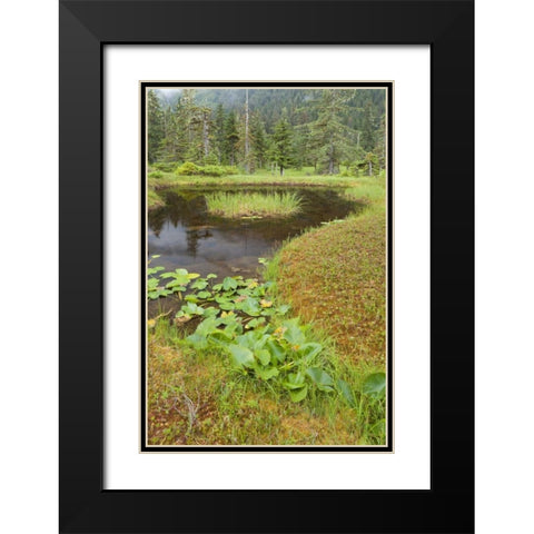 Alaska, Admiralty Island Pond and forest Black Modern Wood Framed Art Print with Double Matting by Paulson, Don