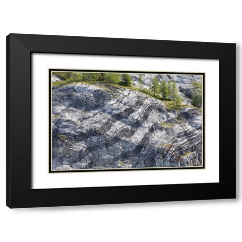 AK, Glacier Bay NP Striated rock on Gloomy Knob Black Modern Wood Framed Art Print with Double Matting by Paulson, Don