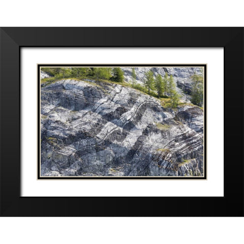AK, Glacier Bay NP Striated rock on Gloomy Knob Black Modern Wood Framed Art Print with Double Matting by Paulson, Don