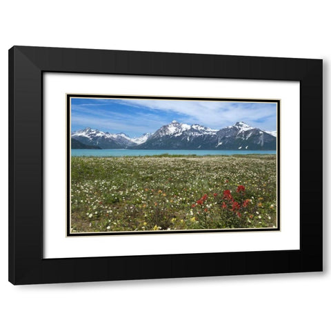 AK, Glacier Bay NP Strawberry and red paintbrush Black Modern Wood Framed Art Print with Double Matting by Paulson, Don