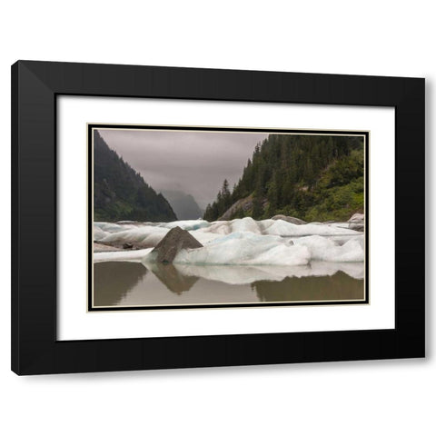Alaska, Tongass NF Icebergs in Shakes Lake Black Modern Wood Framed Art Print with Double Matting by Illg, Cathy and Gordon
