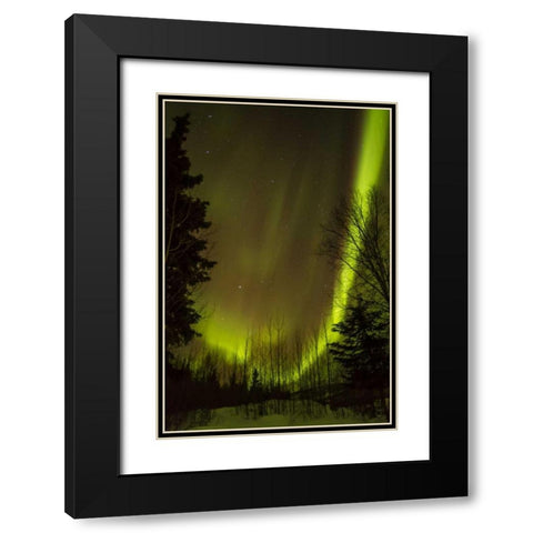 Alaska, Chena Hot Springs Aurora borealis Black Modern Wood Framed Art Print with Double Matting by Illg, Cathy and Gordon