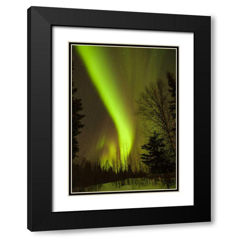 Alaska, Chena Hot Springs Aurora borealis Black Modern Wood Framed Art Print with Double Matting by Illg, Cathy and Gordon