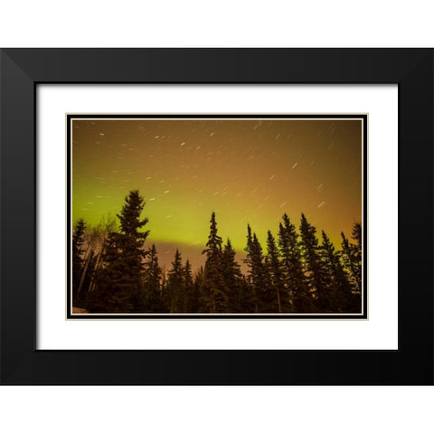 AK, Fairbanks Aurora borealis and star trails Black Modern Wood Framed Art Print with Double Matting by Illg, Cathy and Gordon