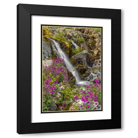 Alaska, Glacier Bay NP Fireweed and waterfall Black Modern Wood Framed Art Print with Double Matting by Illg, Cathy and Gordon