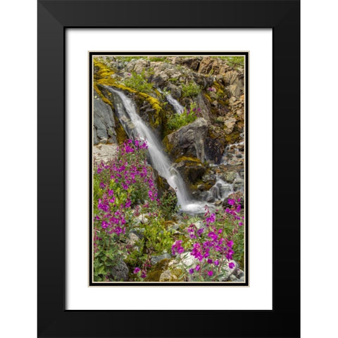 Alaska, Glacier Bay NP Fireweed and waterfall Black Modern Wood Framed Art Print with Double Matting by Illg, Cathy and Gordon