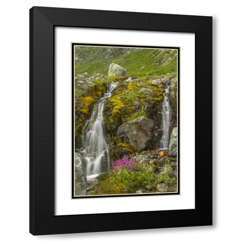 Alaska, Glacier Bay NP Fireweed and waterfall Black Modern Wood Framed Art Print with Double Matting by Illg, Cathy and Gordon