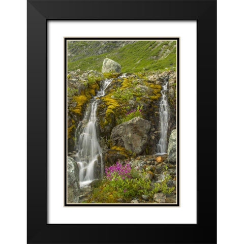 Alaska, Glacier Bay NP Fireweed and waterfall Black Modern Wood Framed Art Print with Double Matting by Illg, Cathy and Gordon