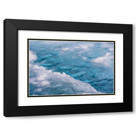 USA, Alaska, Glacier Bay NP Close-up of blue ice Black Modern Wood Framed Art Print with Double Matting by Paulson, Don