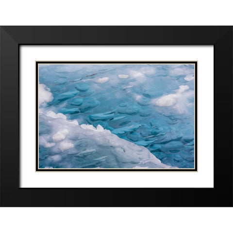 USA, Alaska, Glacier Bay NP Close-up of blue ice Black Modern Wood Framed Art Print with Double Matting by Paulson, Don