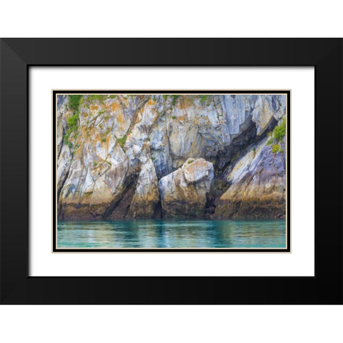 Alaska, Glacier Bay NP Cliff and seawater Black Modern Wood Framed Art Print with Double Matting by Paulson, Don