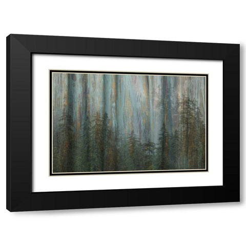 AK, Misty Fiords NM Abstract of trees and forest Black Modern Wood Framed Art Print with Double Matting by Paulson, Don