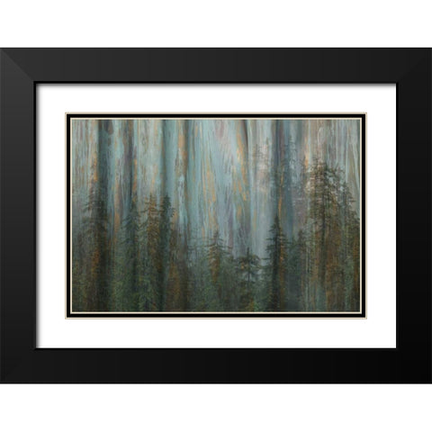 AK, Misty Fiords NM Abstract of trees and forest Black Modern Wood Framed Art Print with Double Matting by Paulson, Don