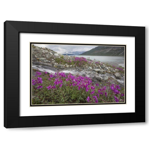 Alaska, Glacier Bay NP Small stream cascade Black Modern Wood Framed Art Print with Double Matting by Paulson, Don