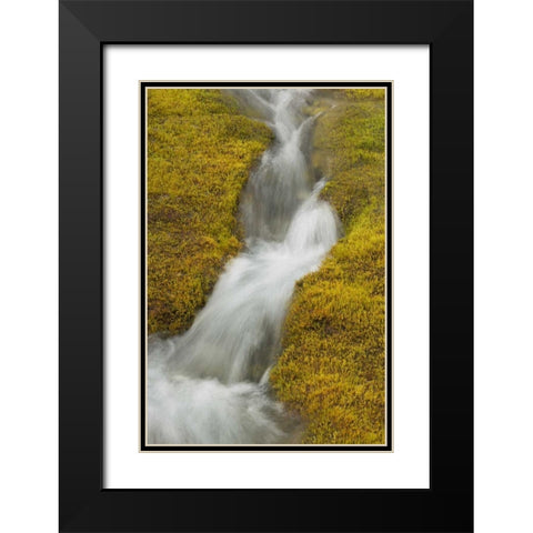 AK, Glacier Bay NP Stream cascade amid moss Black Modern Wood Framed Art Print with Double Matting by Paulson, Don