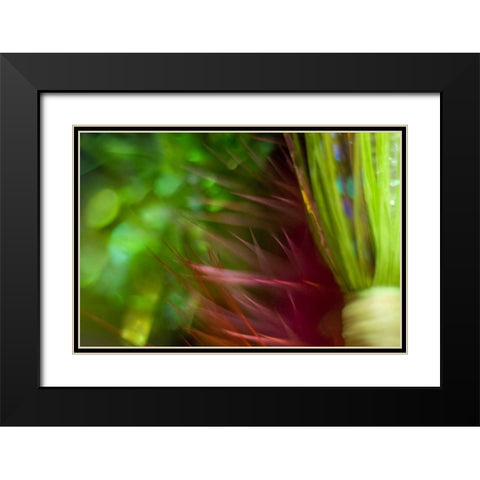 AK, Lake Clark NP Abstract of fishing flies Black Modern Wood Framed Art Print with Double Matting by Paulson, Don