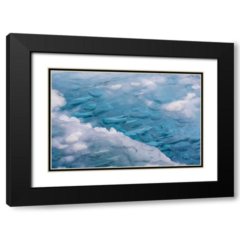 USA, Alaska, Glacier Bay NP Close-up of blue ice Black Modern Wood Framed Art Print with Double Matting by Paulson, Don
