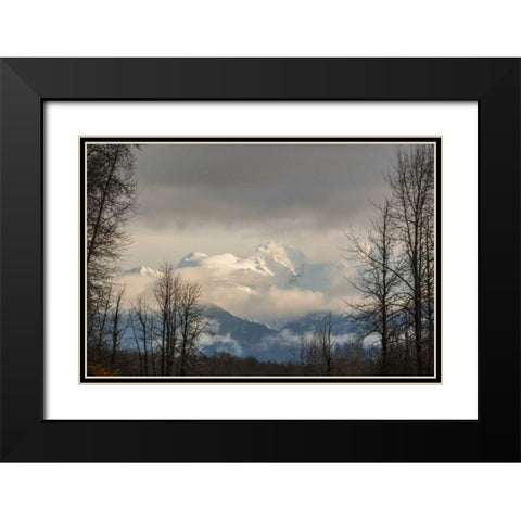 Alaska, Chilkat River Valley Snowy mountains Black Modern Wood Framed Art Print with Double Matting by Illg, Cathy and Gordon
