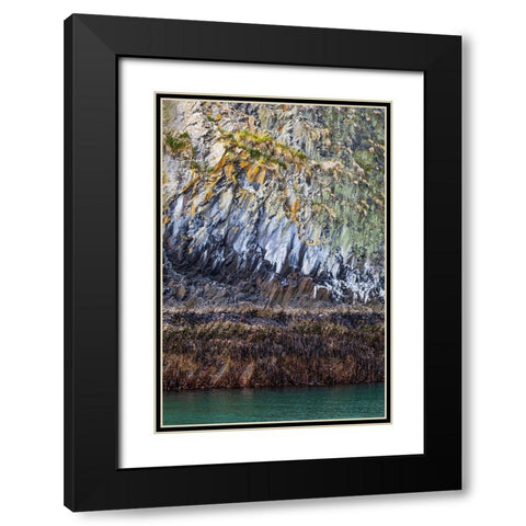 Alaska-Sitka Rocky cliffs of St Lazaria Island  Black Modern Wood Framed Art Print with Double Matting by Jaynes Gallery