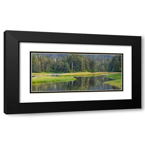 Alaska Panoramic of meadow at high tide in Tongass National Forest  Black Modern Wood Framed Art Print with Double Matting by Jaynes Gallery